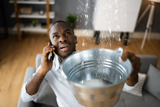 Best Flood damage cleanup  in Trabuco Nyon, CA