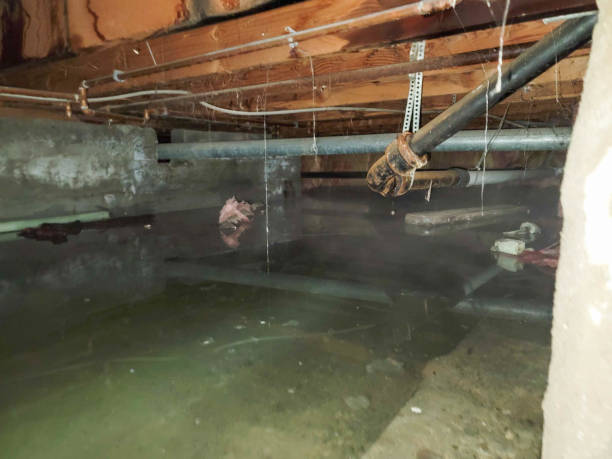 Best Fire Damage Restoration  in Trabuco Nyon, CA