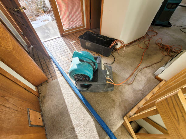 Best Professional water damage repair  in Trabuco Nyon, CA