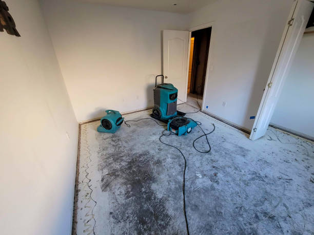 Best Professional water damage repair  in Trabuco Nyon, CA