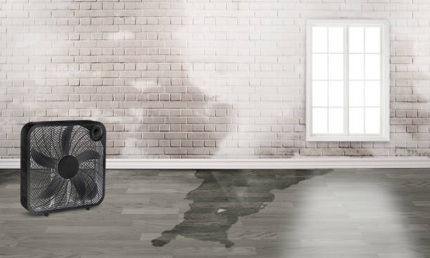Best 24-hour water damage restoration  in Trabuco Nyon, CA
