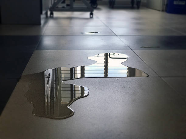 Best Water damage cleanup near me  in Trabuco Nyon, CA