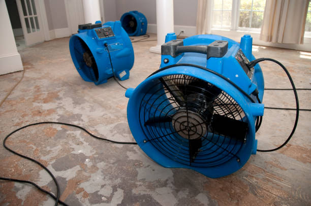 Best Professional water damage repair  in Trabuco Nyon, CA
