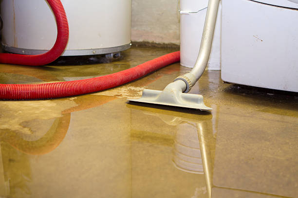 Best Mold removal after water damage  in Trabuco Nyon, CA