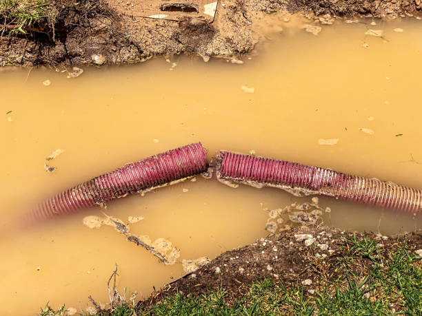 Best Water damage contractors near me  in Trabuco Nyon, CA