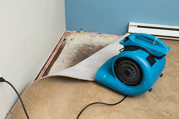 Best 24/7 water damage repair  in Trabuco Nyon, CA